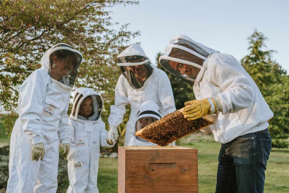 Tiaki Bees - Meet your Bees