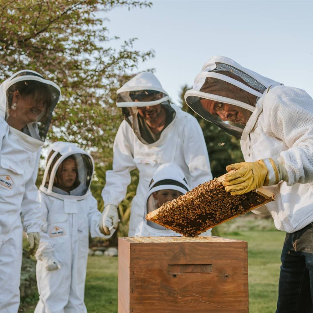 Tiaki Bees Looking at Beehive