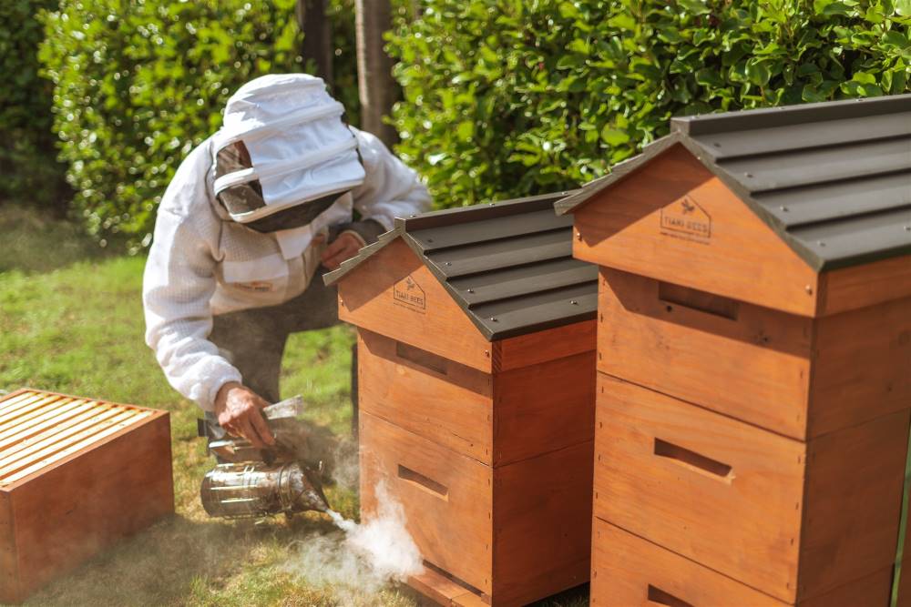 Hive Maintenance